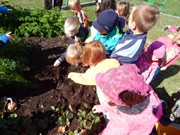 Sklízíme úrodu na zahrádce